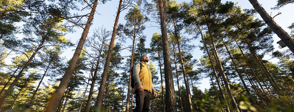 Mies seisoo metsässä ja katsoo taivaalle.