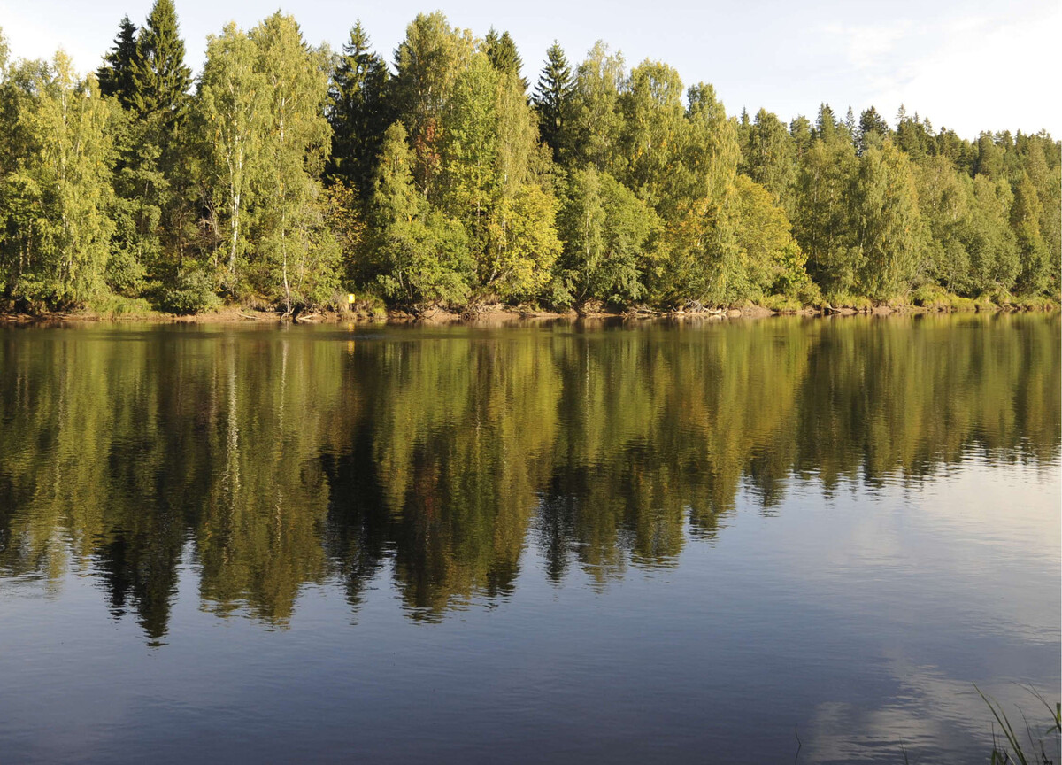 Oulujoen vesistön säännösteltyjen järvien vedenkorkeudet ovat Oulujärveä  lukuun ottamatta nousseet kesäkauden virkistyskäytön tavoitetasoille |  